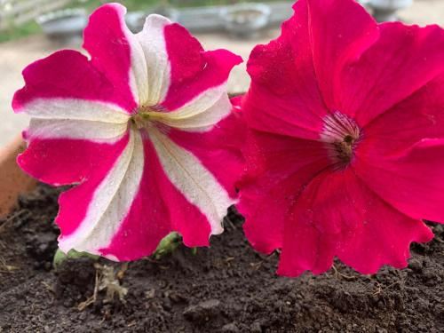 混合宿舍中的上下铺床位