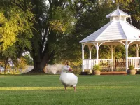Parklands Resort Mudgee