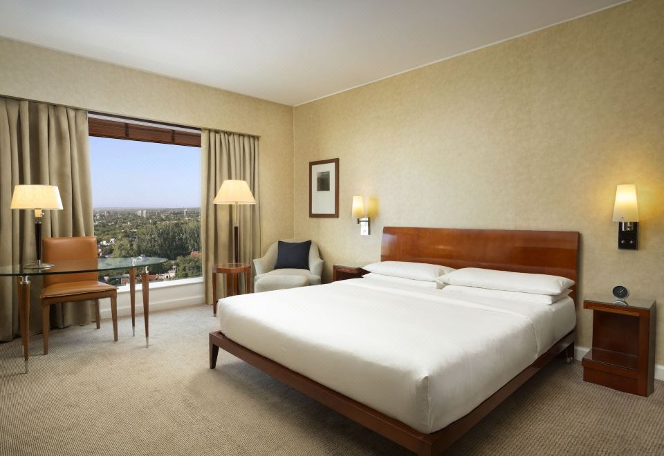 Park Hyatt Mendoza Hotel Casino and SpaDeluxe King Room