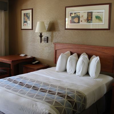 Queen Room - Disability Access - Non Smoking Cajon Pass Inn Promo Code