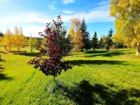 Northern Sky Lodge Hotels in 