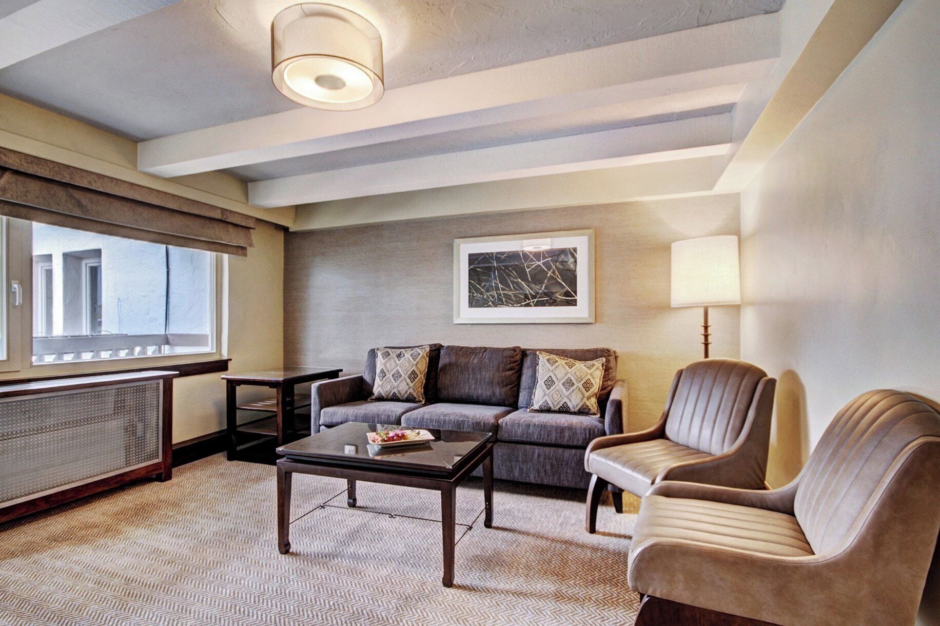 带梳化床的行政特大床套房