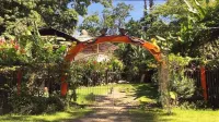Madre Selva Jungle Hostel Hotel di 