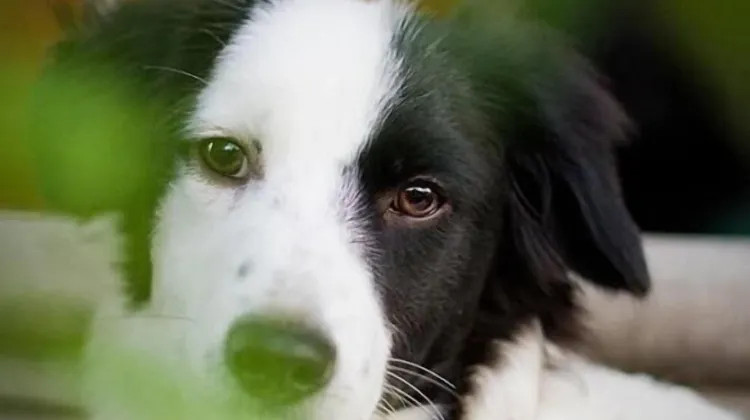 4.Friends Hostel 食事・レストラン