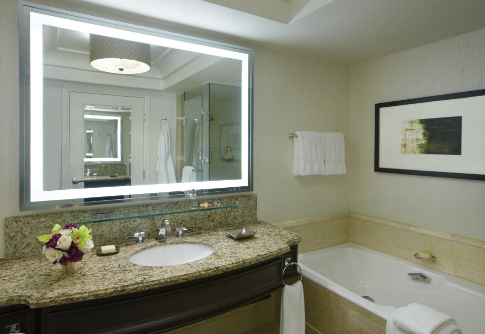 大道景單臥室套房