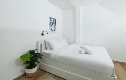 带园景一室公寓