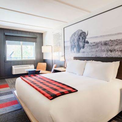 King Room Mountain Modern Motel Promo Code