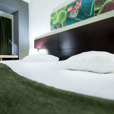Standard Room with Balcony Hotel Orizont Promo Code