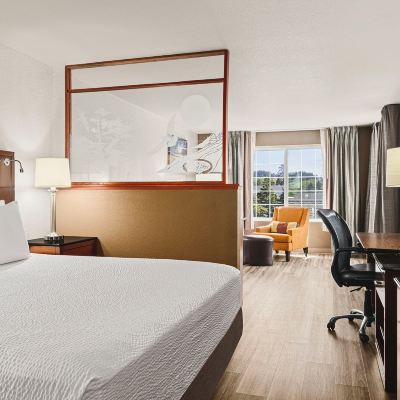 Junior King  Suite The Ashley Inn & Suites Promo Code