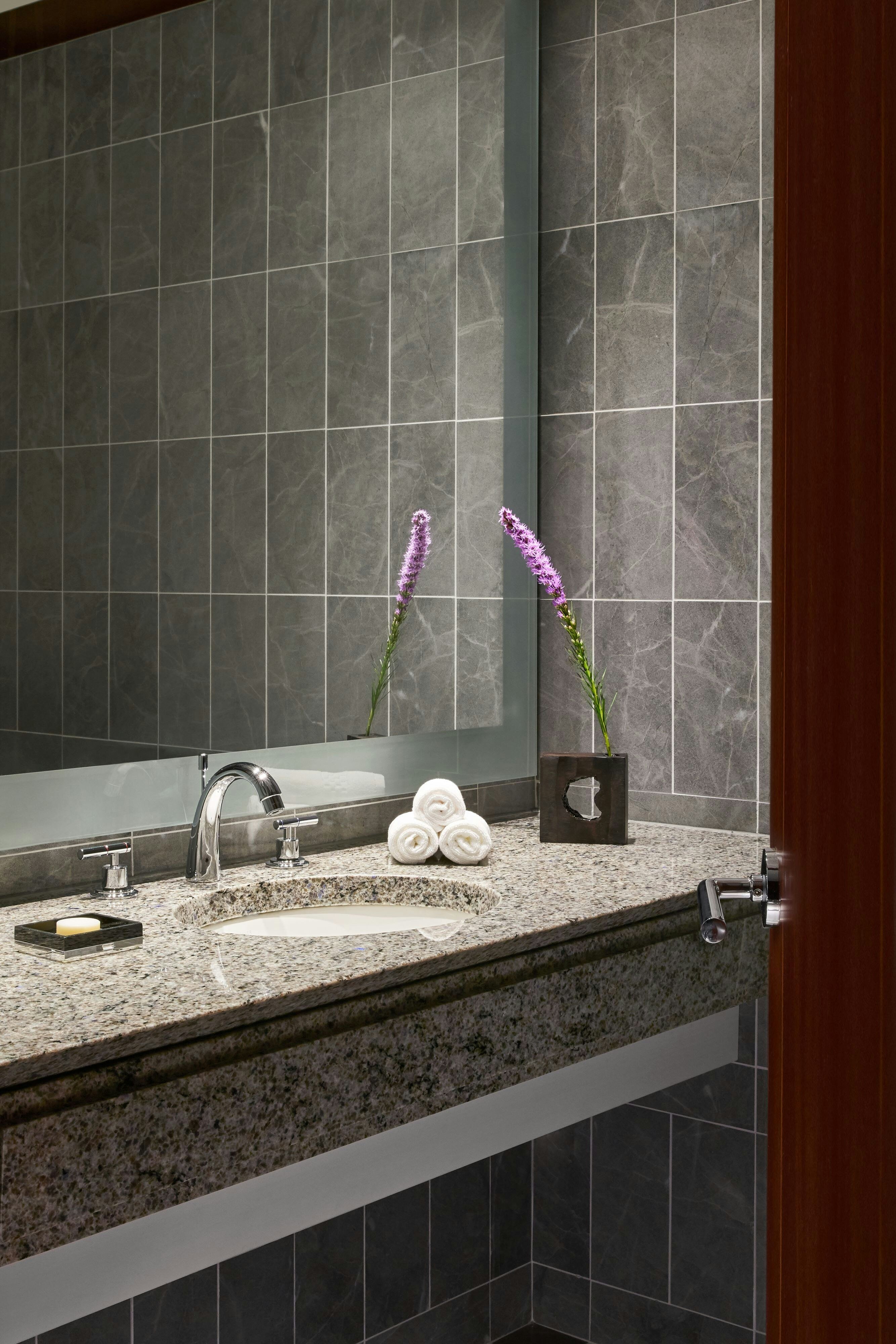 客厅套房 - 单卧室套房 - 1张特大床 - 梳化床