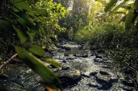 Gal Oya Heritage Retreat Hotel di 