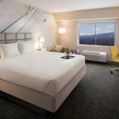 Sky Tower Deluxe Room 1 King Non-Smoking Petstay Circus Circus Reno Promo Code