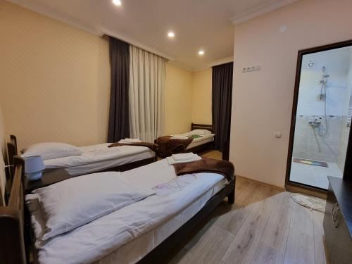 舒适三人间 - 带淋浴