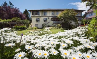 Oak Bay Guest House