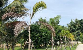 CoCo Tree Resort