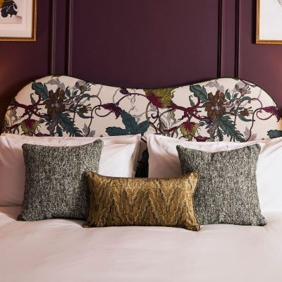 豪華客房， 1 張特大床， 獨立浴室， 城市景觀 巴斯弗朗西斯酒店 - 美憬閣酒店優惠