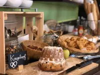 Hotel Arc-En-Ciel Colmar Contact Hotel