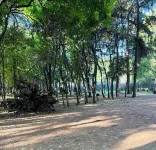 Villa Coyoacan