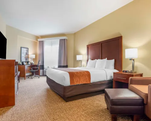 Comfort Inn & Suites Daphne Spanish Fort - Mobile East Hotels in Daphne