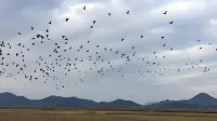 Suncheon Bay Pension
