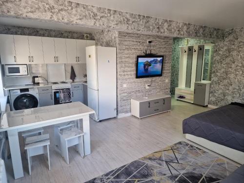 湖景一卧室公寓