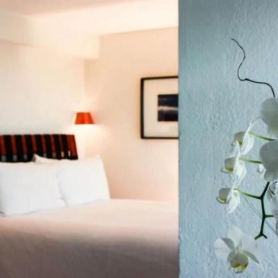 Starfish Suite Casa Morada Promo Code