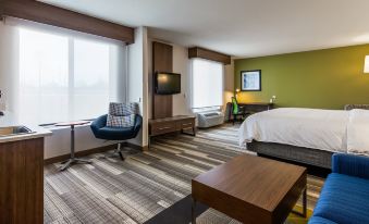 Holiday Inn Express & Suites Detroit - Farmington Hills