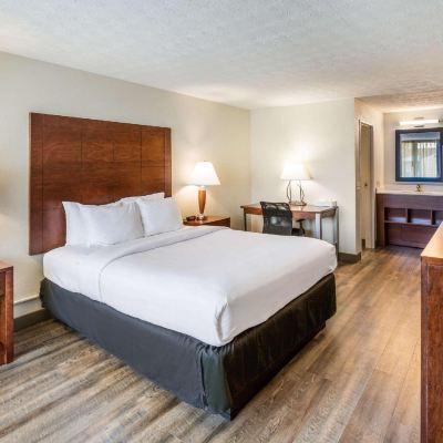 Standard Queen Room-Non-Smoking Comfort Suites Merrillville Near US 30 Promo Code