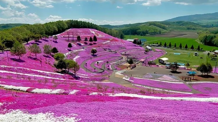 ホテル サン 施設