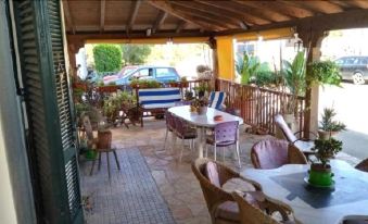 Gecko's House - Housity
