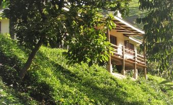 Kimakia Tea Cottages - Housity