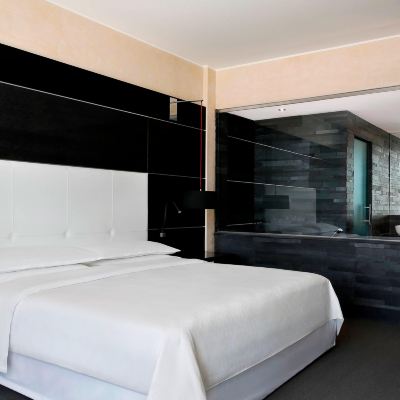 總統套房 喜來登米蘭馬爾彭薩機場酒店及會議中心優惠