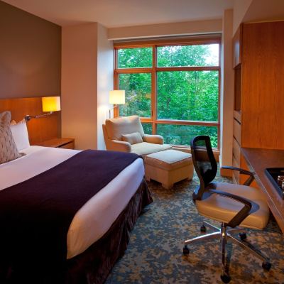 Deluxe Accessible Room Cedarbrook Lodge Promo Code