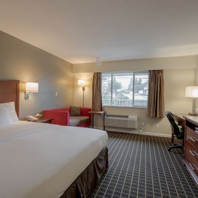 Standard King Room Gibsons Garden Hotel Promo Code