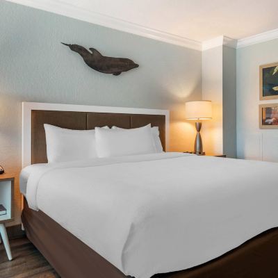 1 King Bed, Patio, No View, Accessible, No Smoking Winter the Dolphins Beach Club, Ascend Hotel Collection Promo Code