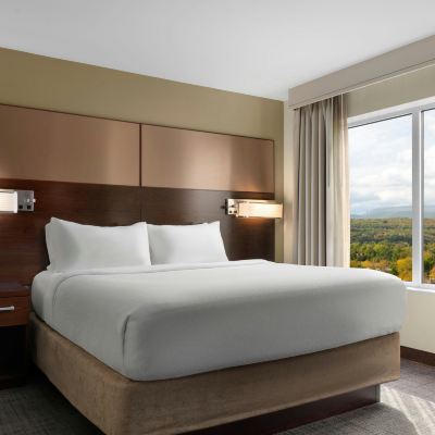King Mountain View, 1 Bedroom Suite, 1 King, Sofa Bed Residence Inn by Marriott Kingston Promo Code