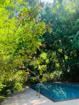 Tree House Hotel