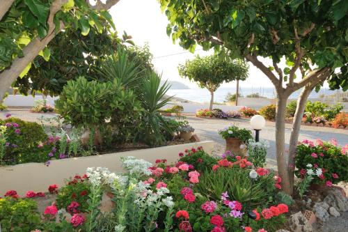 公寓 - 地面楼层