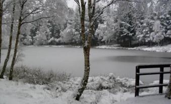 a snow - covered landscape with a tree and a lake , featuring a wooden fence in the foreground at The Commercial Hotel