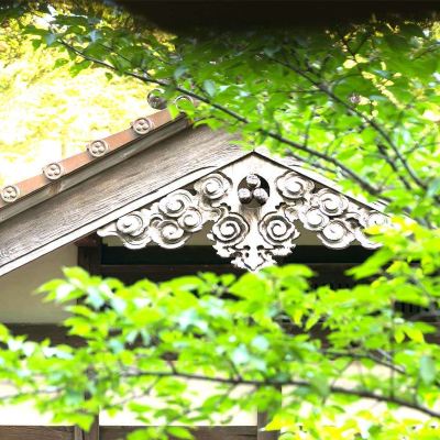 Run Of House Hoshi Promo Code