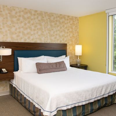 Mobility/Hearing Accessible King Suite with Tub Home2 Suites by Pittsburgh - McCandless Promo Code
