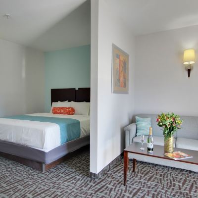 Deluxe Suite Monte Carlo Condos Promo Code