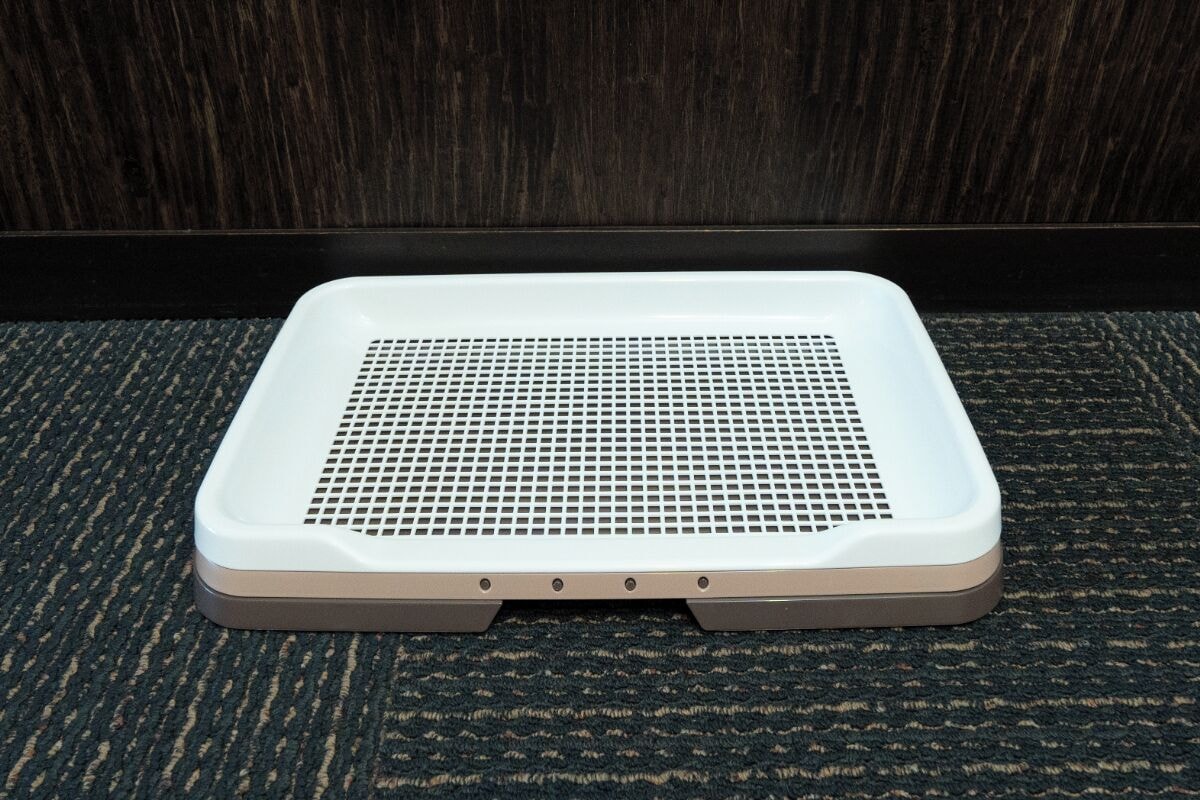 【二楼角落大床房】带温泉露天浴池的客房※可携带宠物