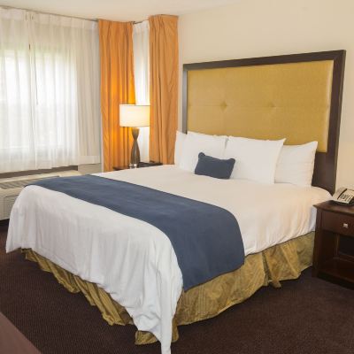 Standard King Room Ivy Court Inn and Suites Promo Code