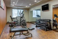 Comfort Suites Dover University Area