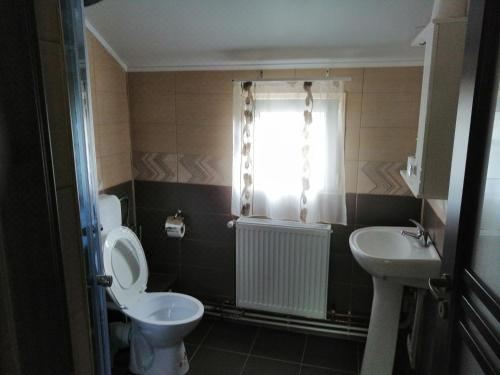 一室公寓带阳台