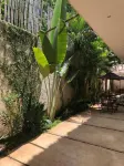 Hotel Casa Bamboo