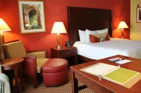 Hilton Garden Inn Houston West Katy