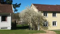 Solviken Vandrarhem & Konferens - Hostel Hôtels à : 