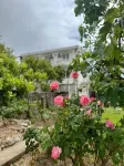 B&M 홀리데이 룸스  호텔